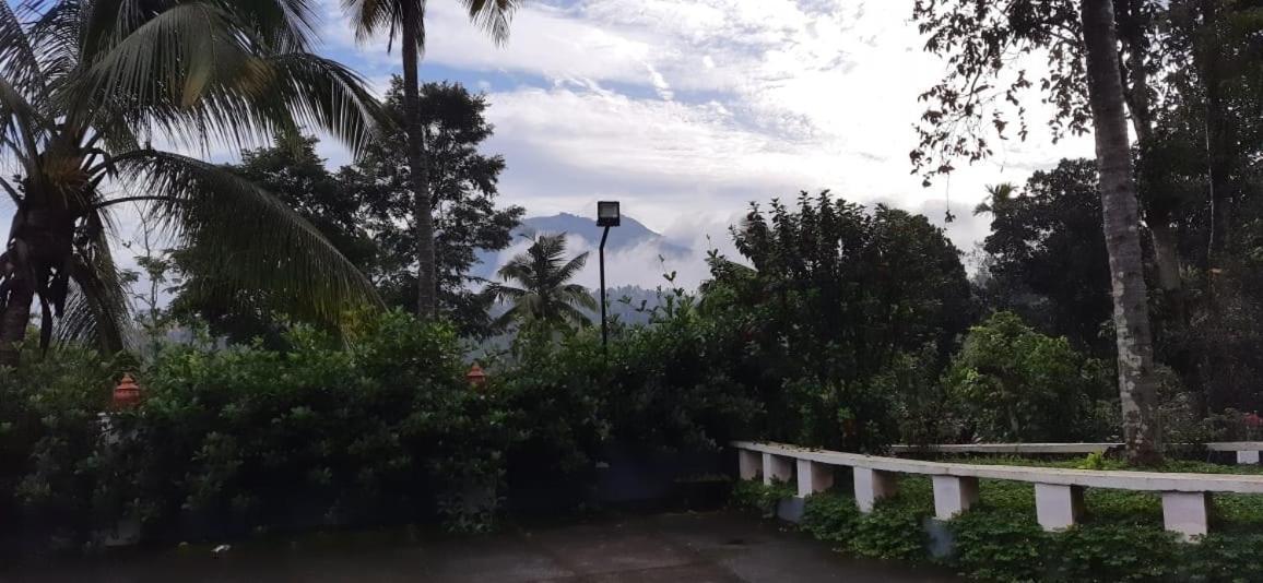 Pepper Valley Resort Kalpatta Buitenkant foto
